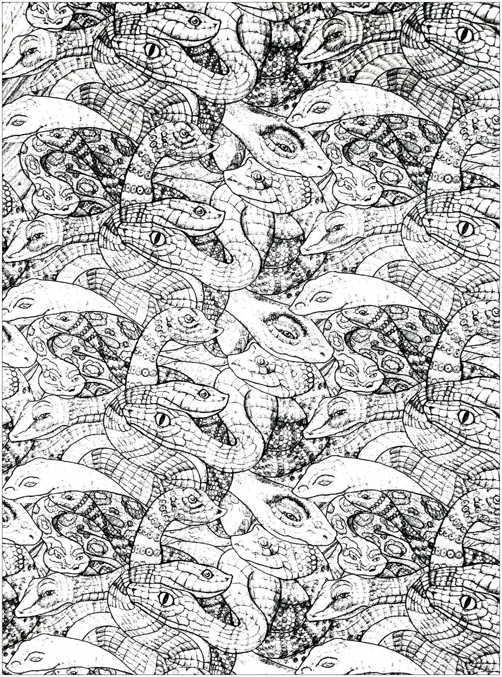 Drawing of entangled and very numerous snakes with scales drawn in a precise and realistic way