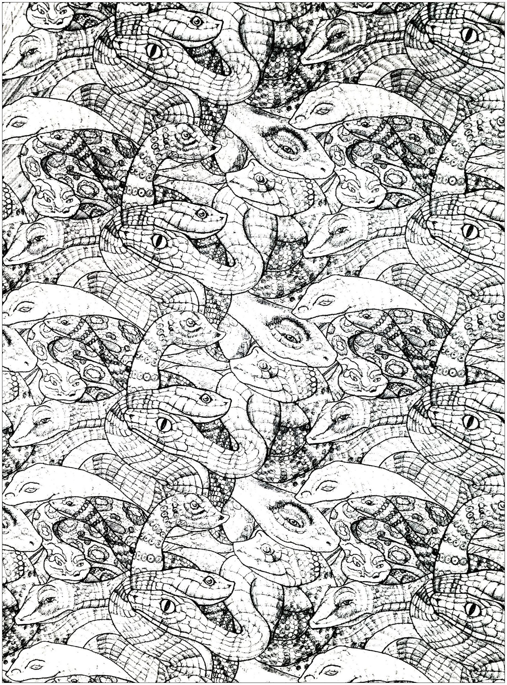 Very complex coloring page with snakes (2nd model)