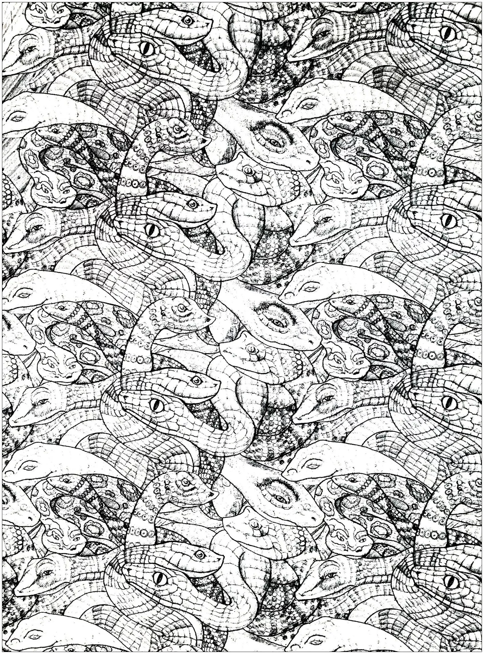 Snakes complex (Printable Coloring Page for adults)