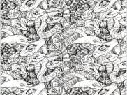 Snakes Coloring Pages for Adults