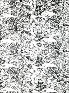Coloring adults snakes complex