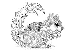 Printable Squirrels and other rodents coloring sheets for adults