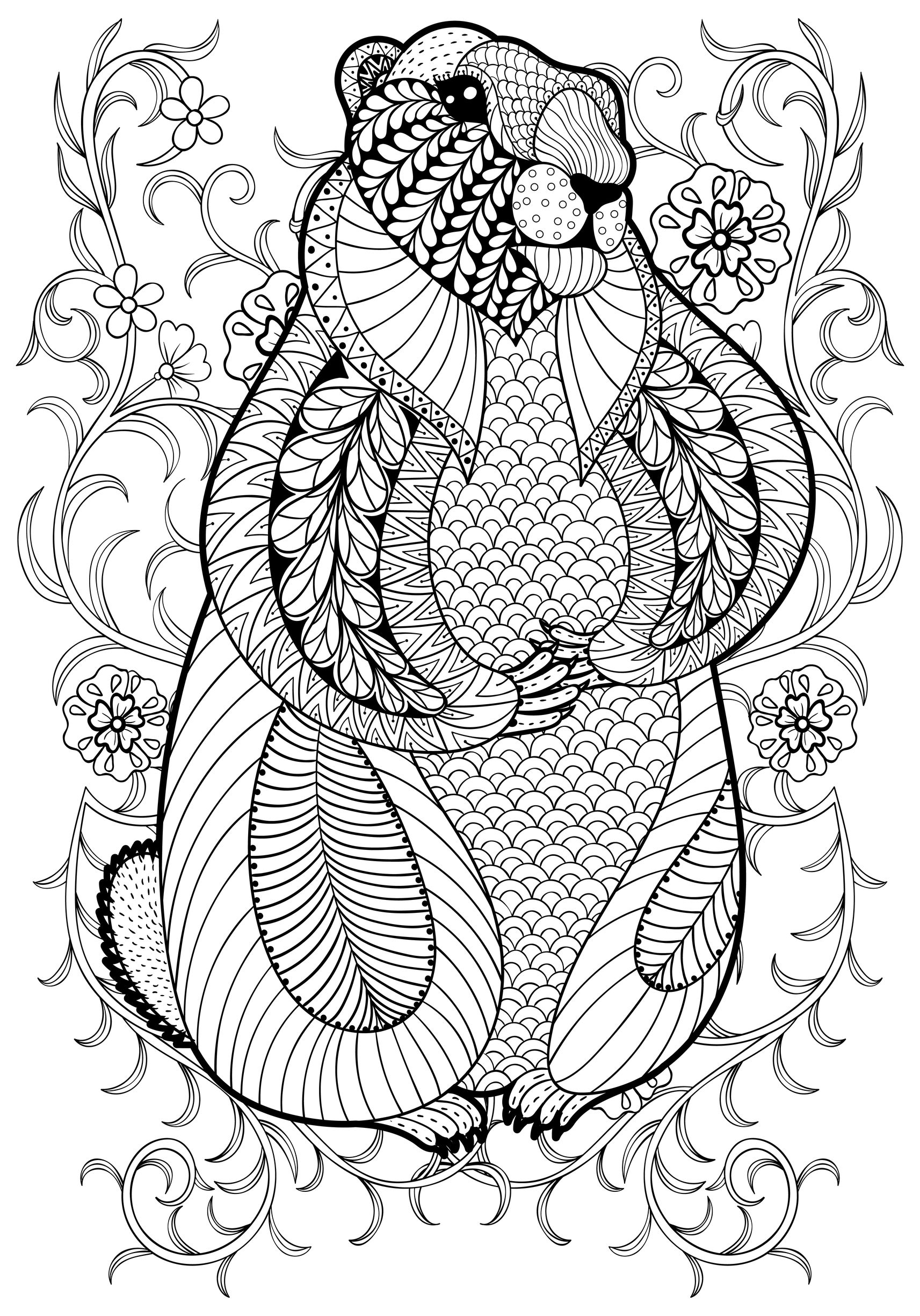 Hand drawn artistic marmot, groundhog in flowers for adult coloring page, Artist : Ipanki   Source : 123rf
