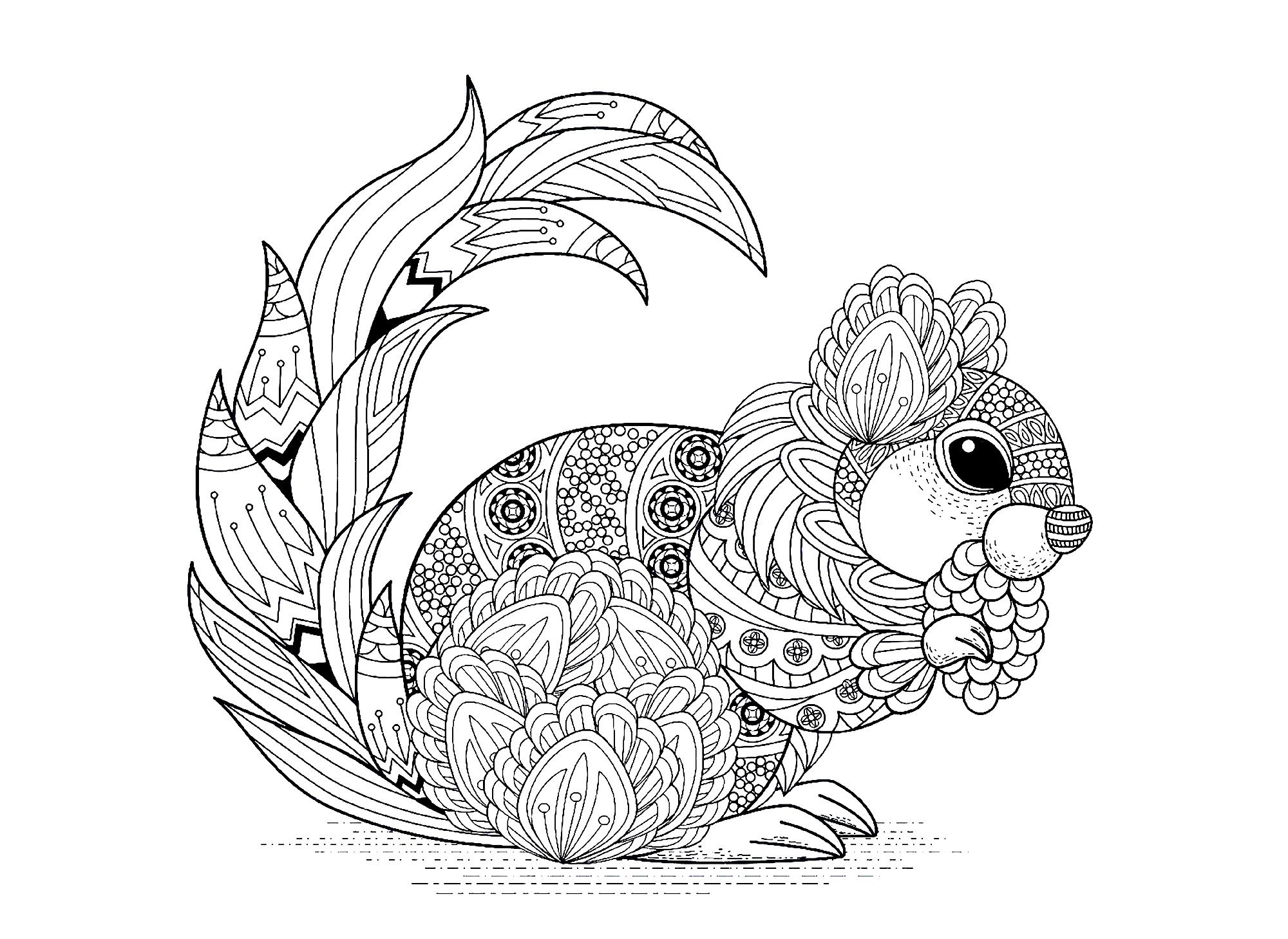Adult Coloring Squirrel 1