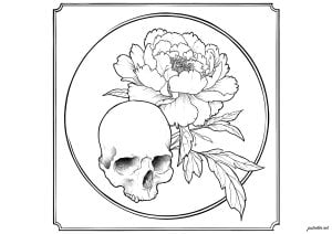 Skull and peony   balancing life and death