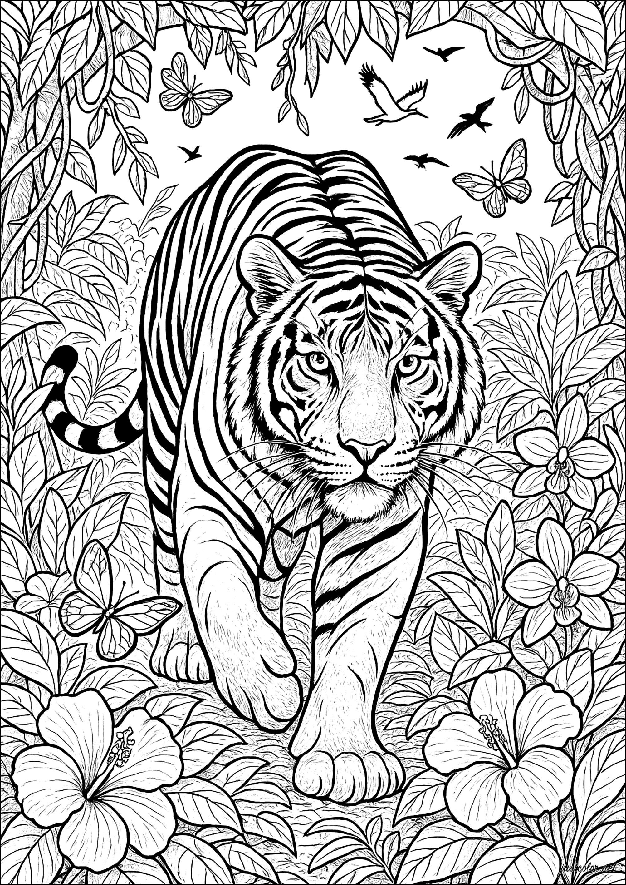 Tiger in the tropical jungle (Printable Coloring Page for adults)