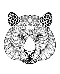 Tiger head with patterns