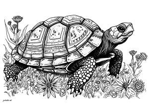 A beautiful turtle moving slowly through pretty flowers