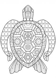 Turtle Coloring Book For Adults: Stress Relieving Adult Coloring Book for  Men, Women, Teenagers, & Older Kids, Advanced Coloring Pages, Detailed  Zendo (Paperback)