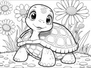 Turtles Coloring Pages