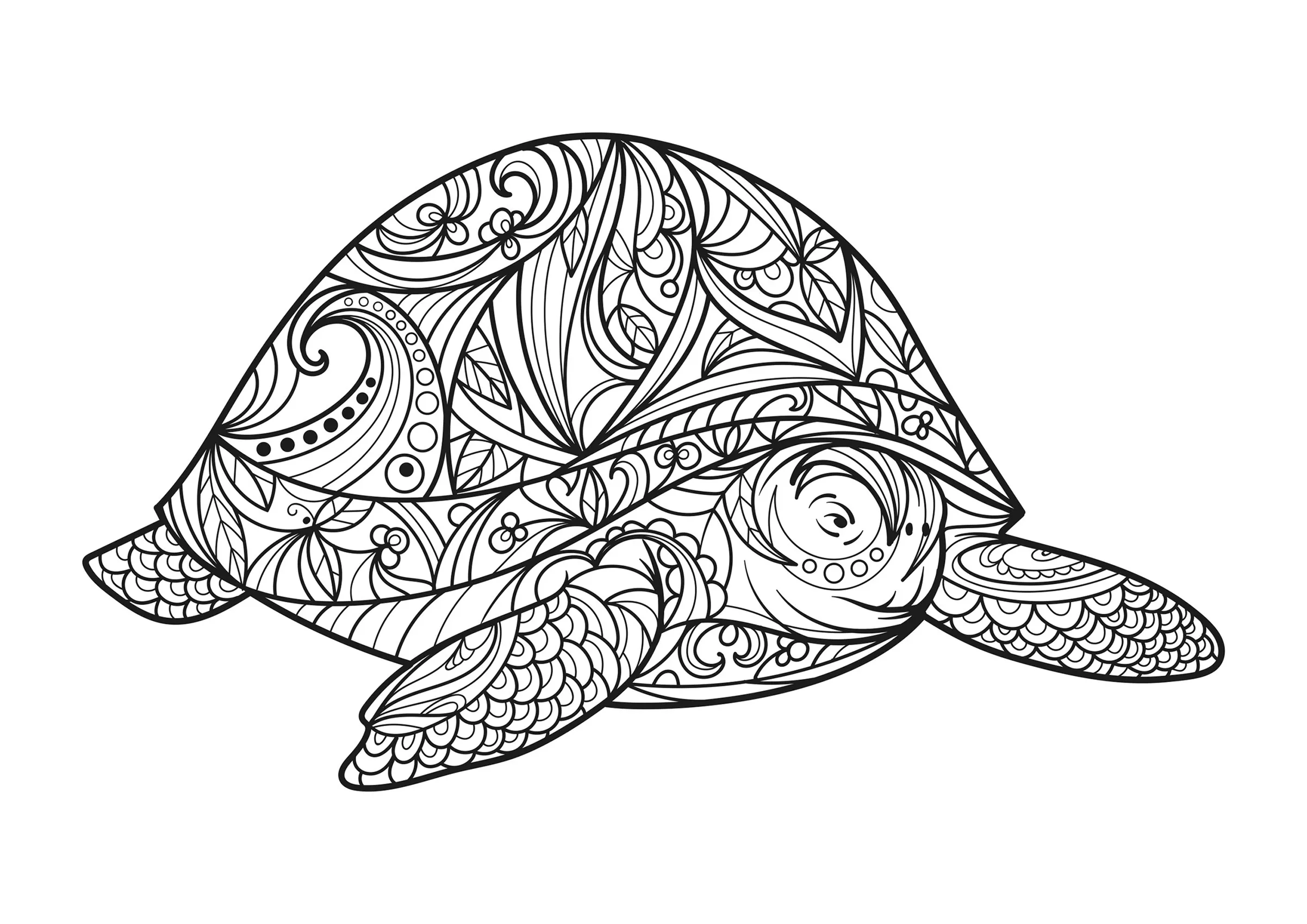 Big turtle (Printable Turtle and Tortoise Coloring Page for adults)