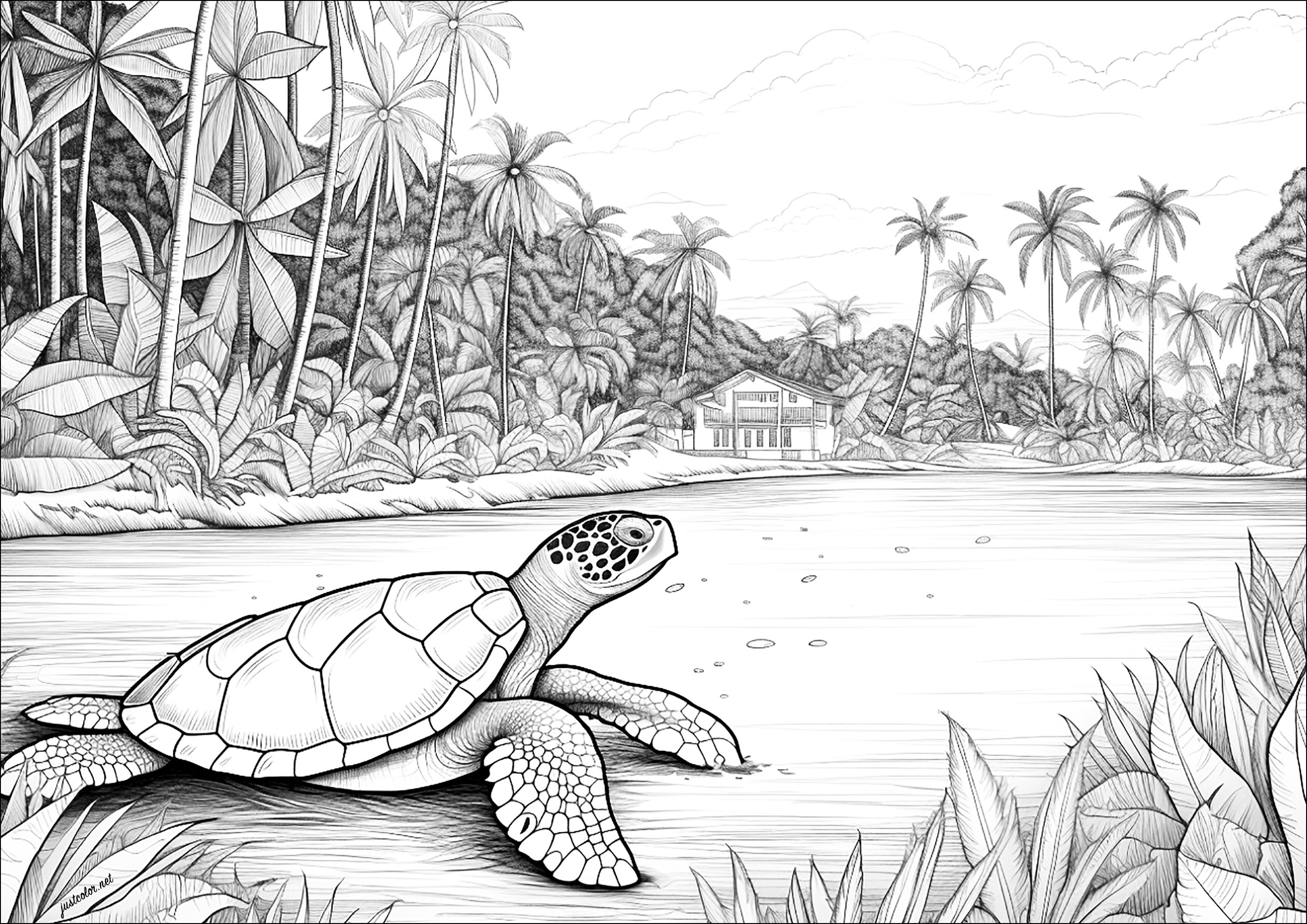 A turtle on a beach. Complex, realistic and detailed coloring