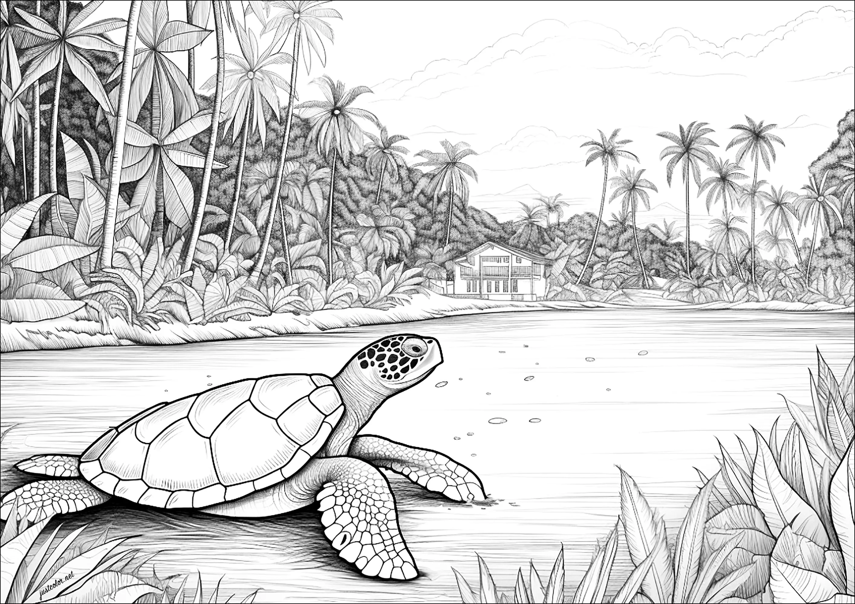 Turtle on a beach (Printable Turtle and Tortoise Coloring Page for adults)