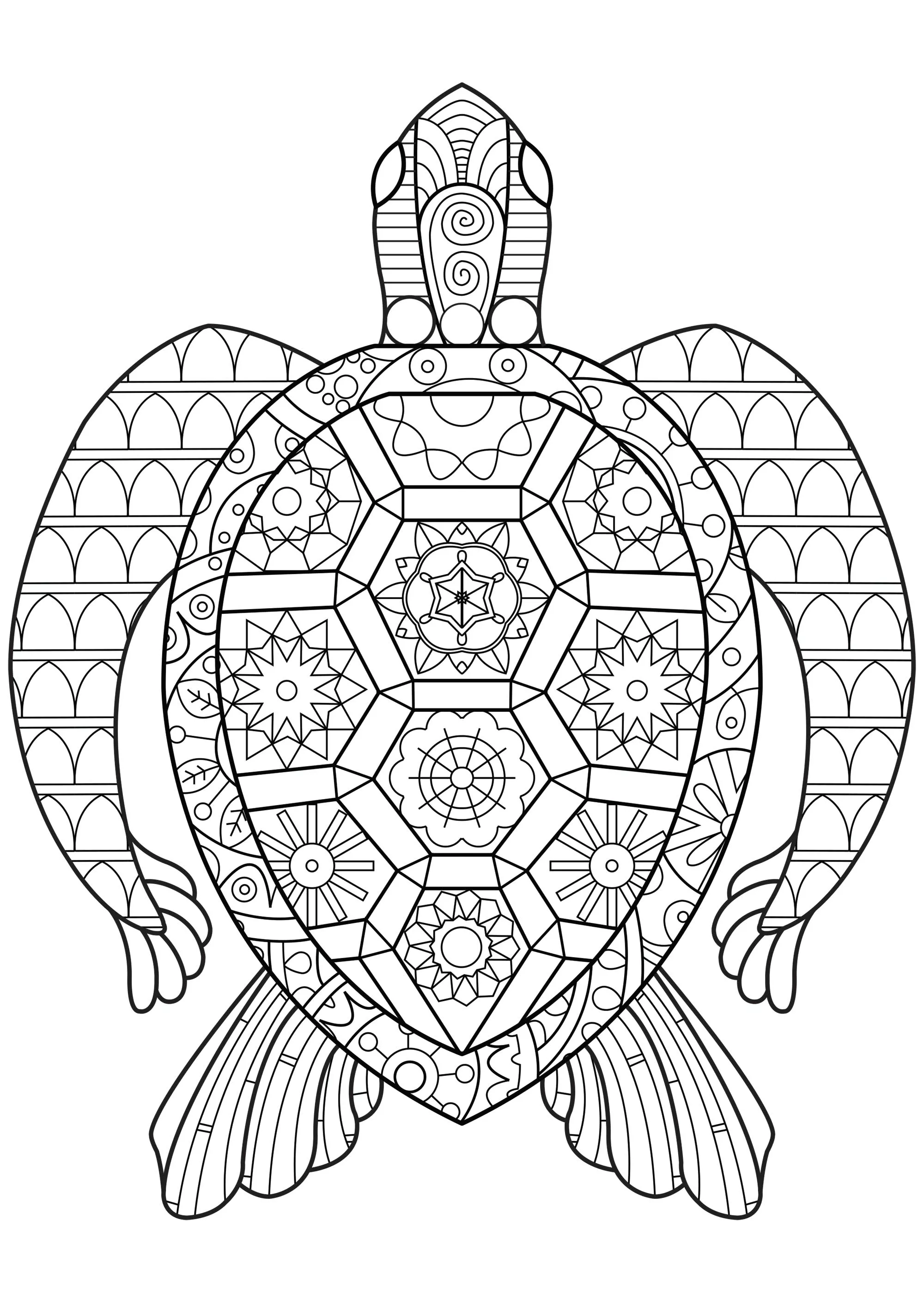Zen Turtle (Printable Turtle and Tortoise Coloring Page for adults)