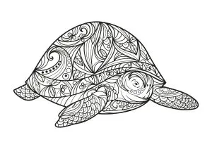 Big turtle