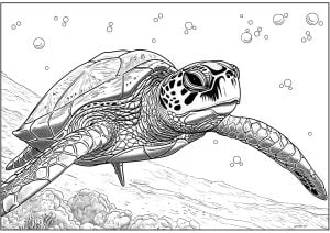 Beautiful swimming turtle (Turtle and Tortoise Coloring Page)