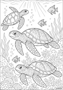 Majestic turtles in the reef (Turtle and Tortoise Coloring Page)