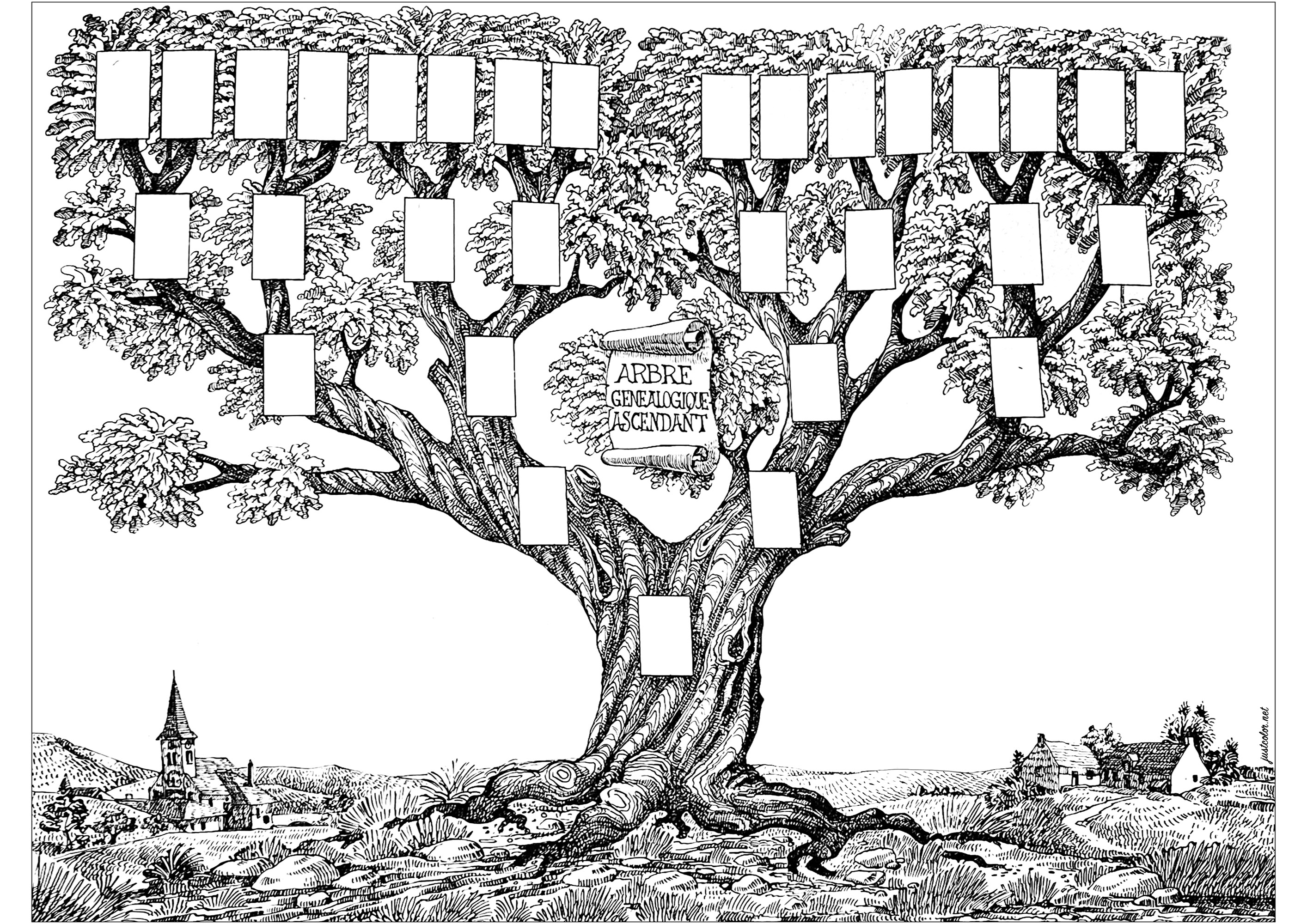 Vintage illustration representing a family tree. Color this beautiful family tree, which is an early 20th century drawing by a French illustrator.You can even stick pictures of your family members on it!