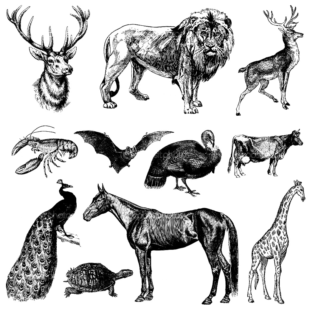 Representation vintage animals