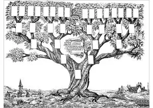 Old Illustration Representing A Family Tree