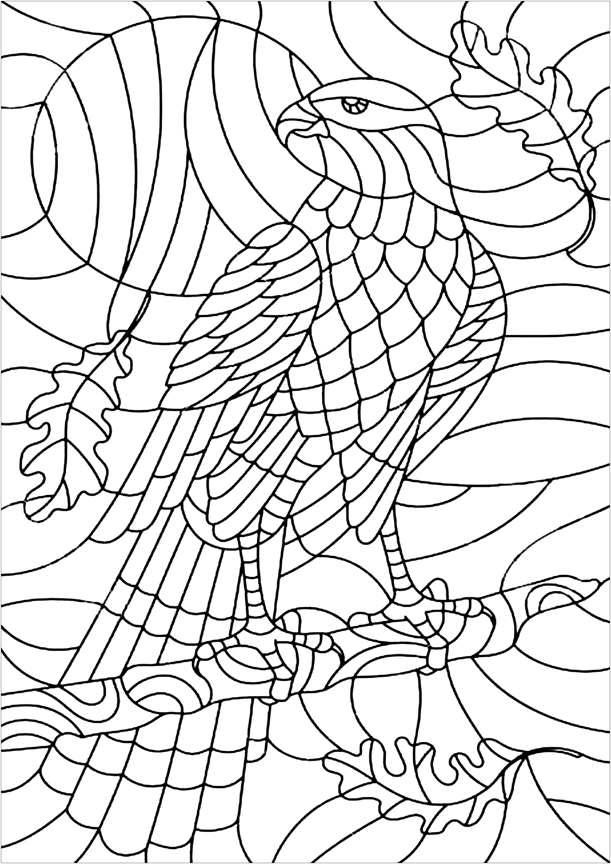 Stained glass representing an eagle (Printable Stained Glass Coloring Page for adults)
