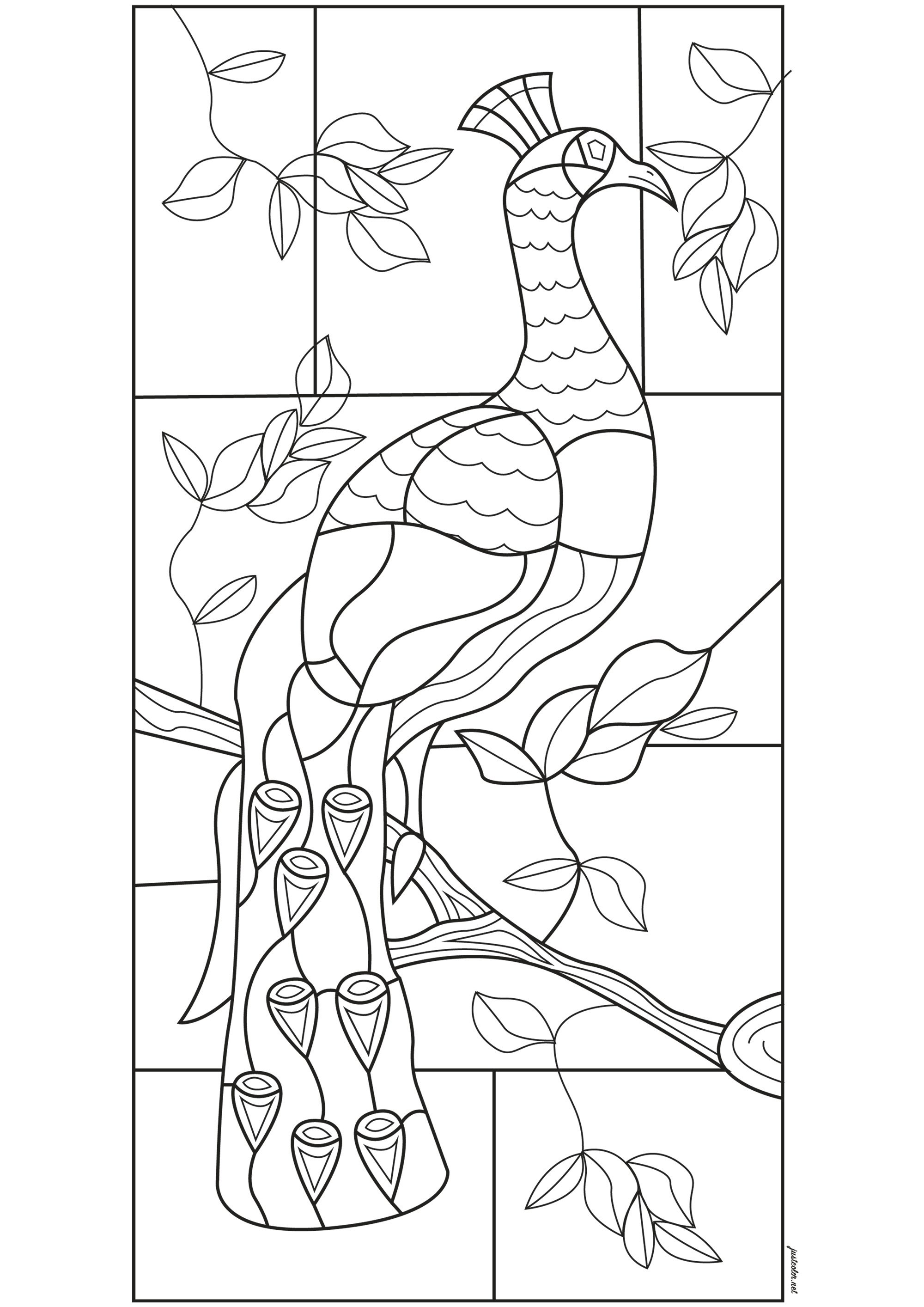 Stained glass peacock window (Printable Stained Glass Coloring Page for adults)