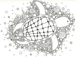Turtle Juliette