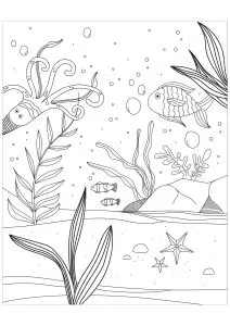 Marine creatures in the sea bed
