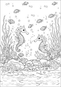 In the depths of the sea: seahorses, fish and algae