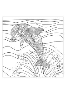 Coloring page adults sea dolphin