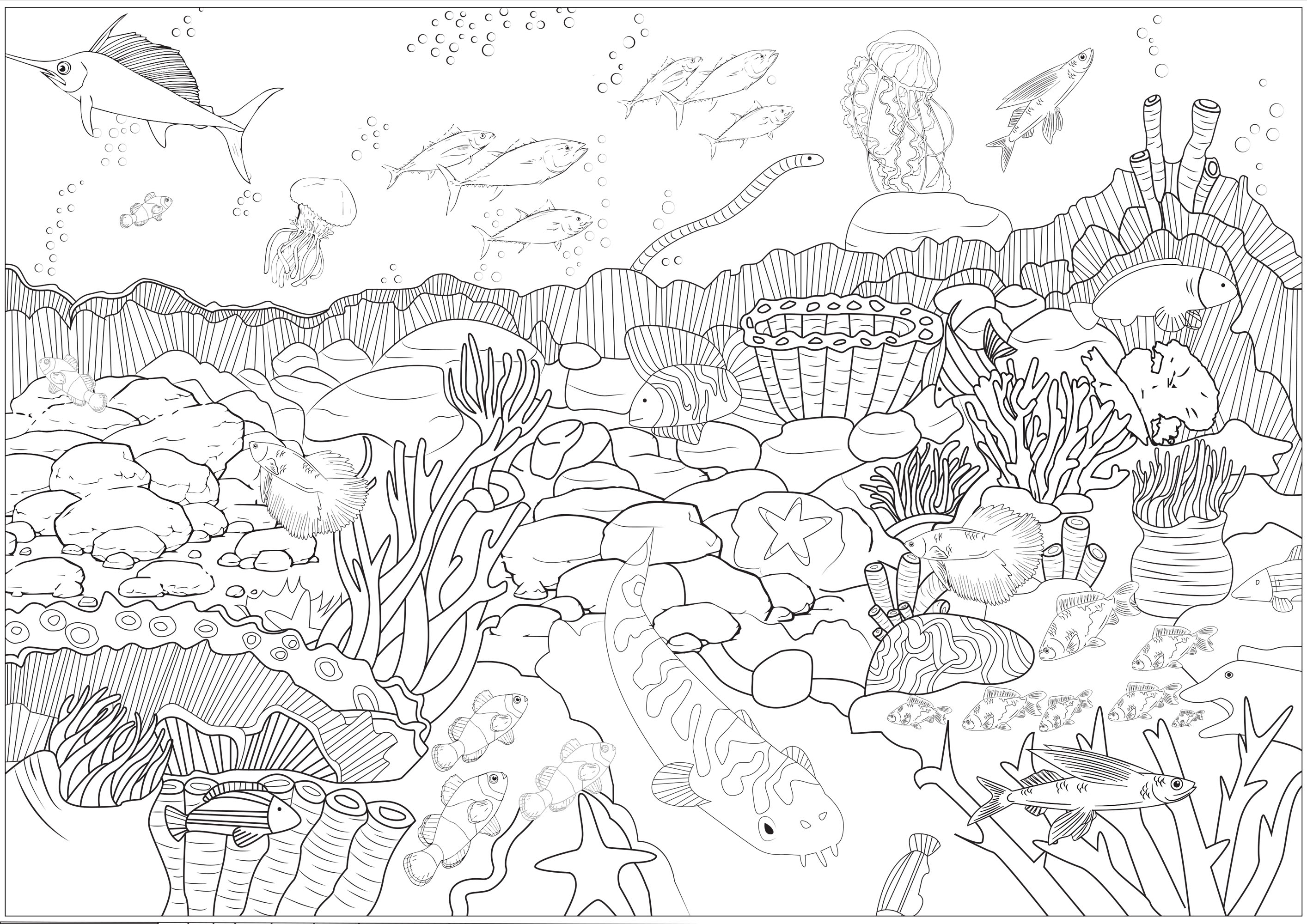 Color these seabed and the different species of fishes, octopus, corals that live there .., Artist : Axelle