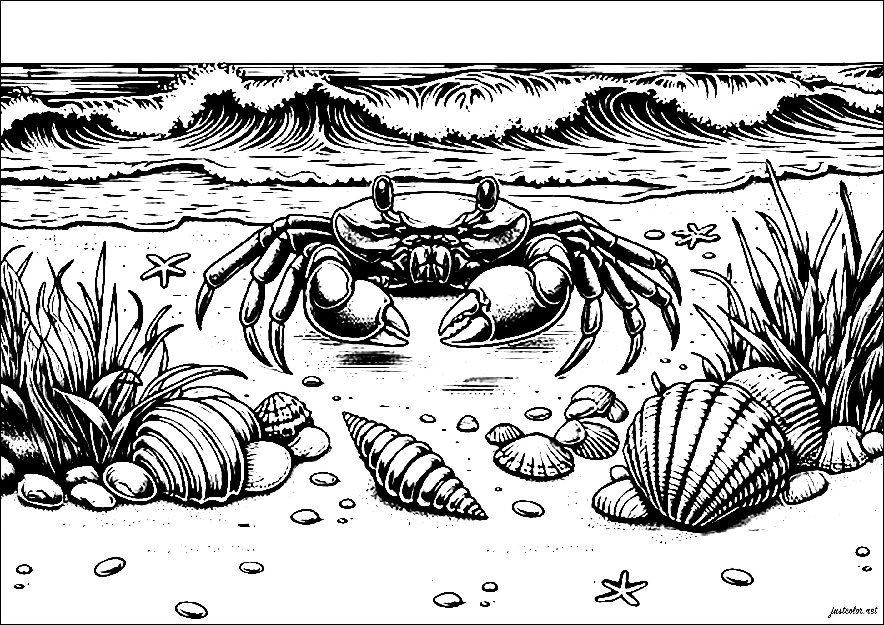 Crab by the sea (Printable Water world Coloring Page for adults)