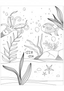 Marine creatures in the sea bed