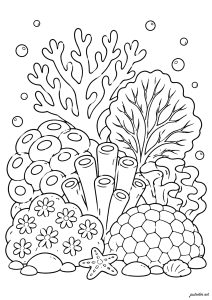 Varied marine ecosystem