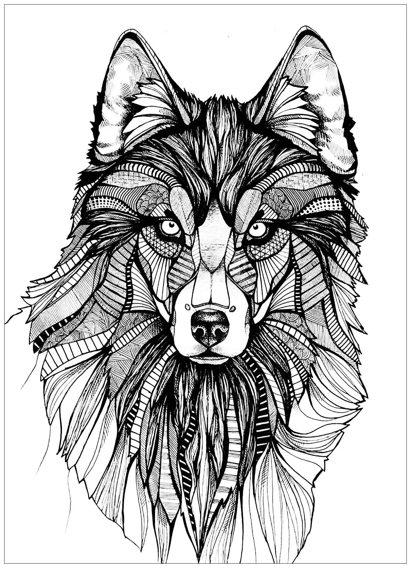 Wolf - 3 (Printable Coloring Page for adults)