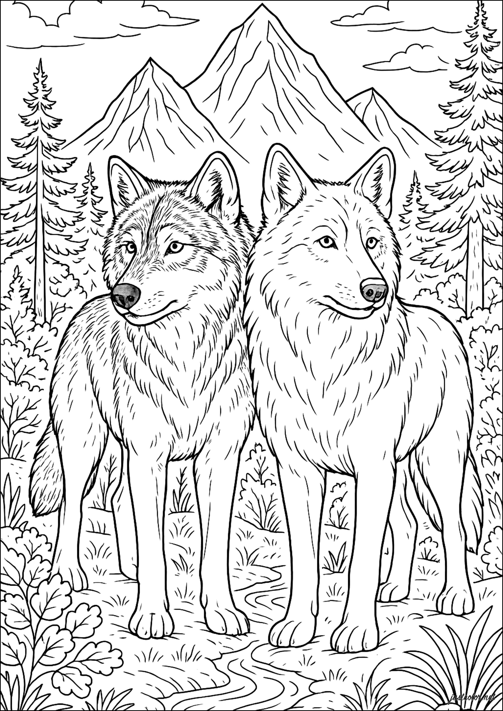 Wild Wolf Duo (Printable Coloring Page for adults)