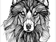 Wolves Coloring Pages for Adults