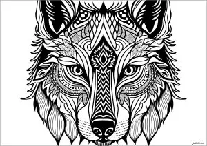 Magnificent wolf's head