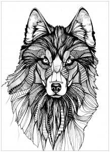 Magnificent wolf drawing (Coloring Page)