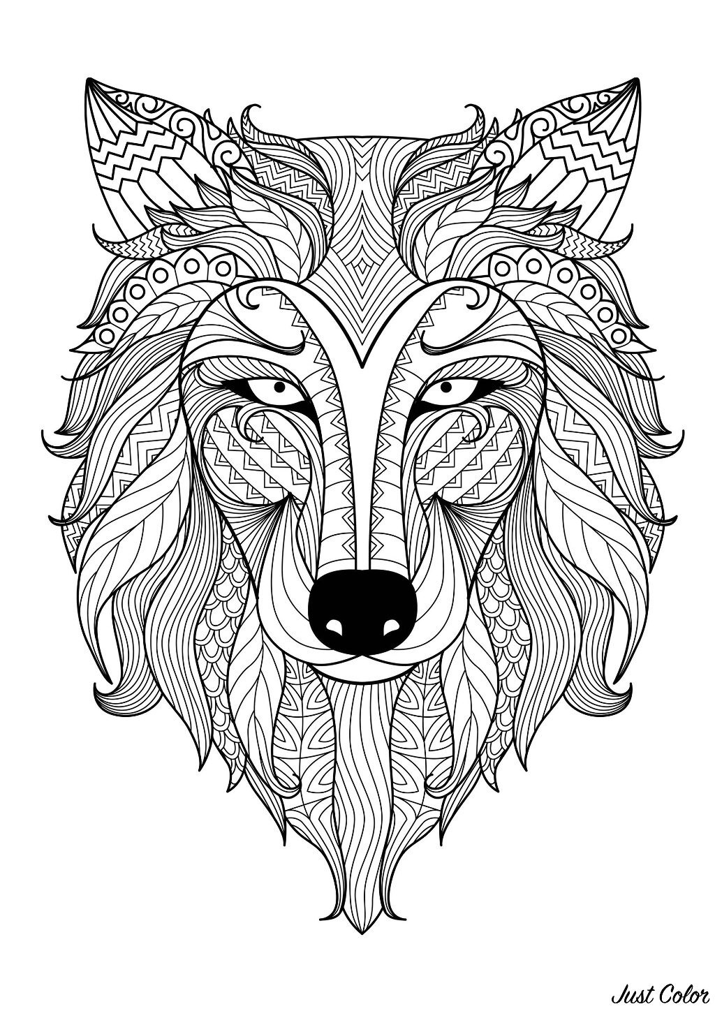 Incredible adult coloring page of a Wolf