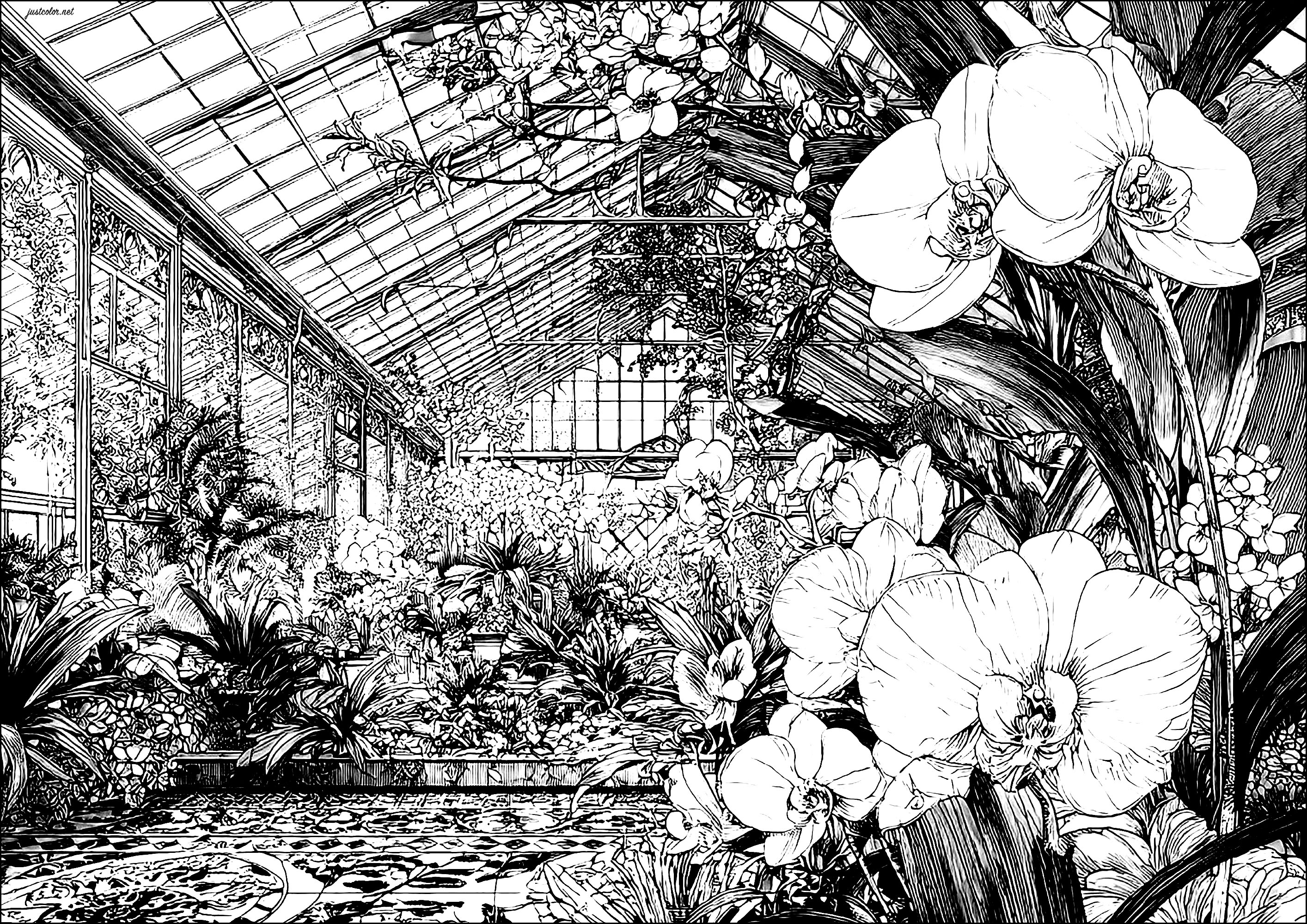 19th-century greenhouse (Printable Wonderful Gardens Coloring Page for adults)