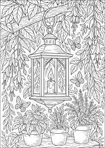 Hanging lantern in the secret garden (Wonderful Gardens Coloring Page)