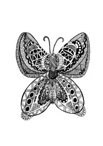 Adults butterfly zentangle rachel