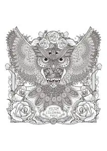 Adults owl zentangle