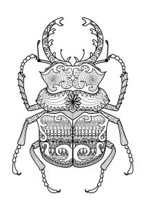 Zentangle beetle by bimdeedee