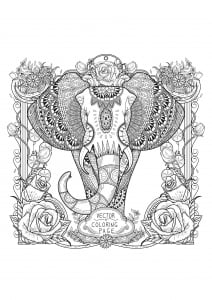 cooring-page-adults-zentangle-elephant