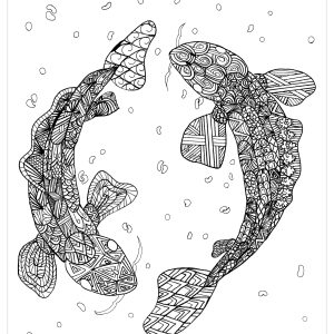 Coloring page of two Koi Carps in Zentangle style. These fishes are highly prized ornamental fish from Asia