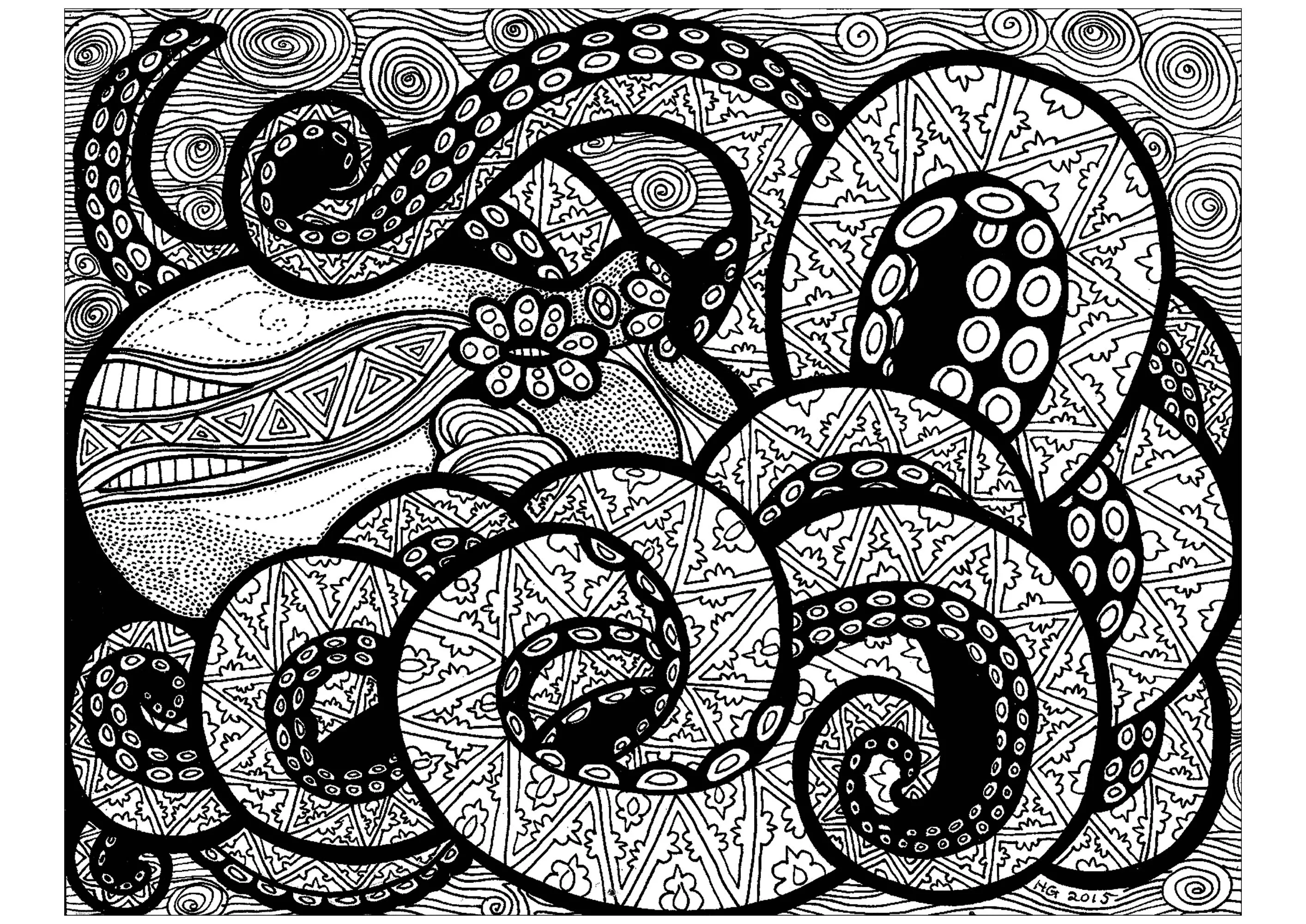Lines of the octopus (Printable Zentangle Coloring Page for adults)