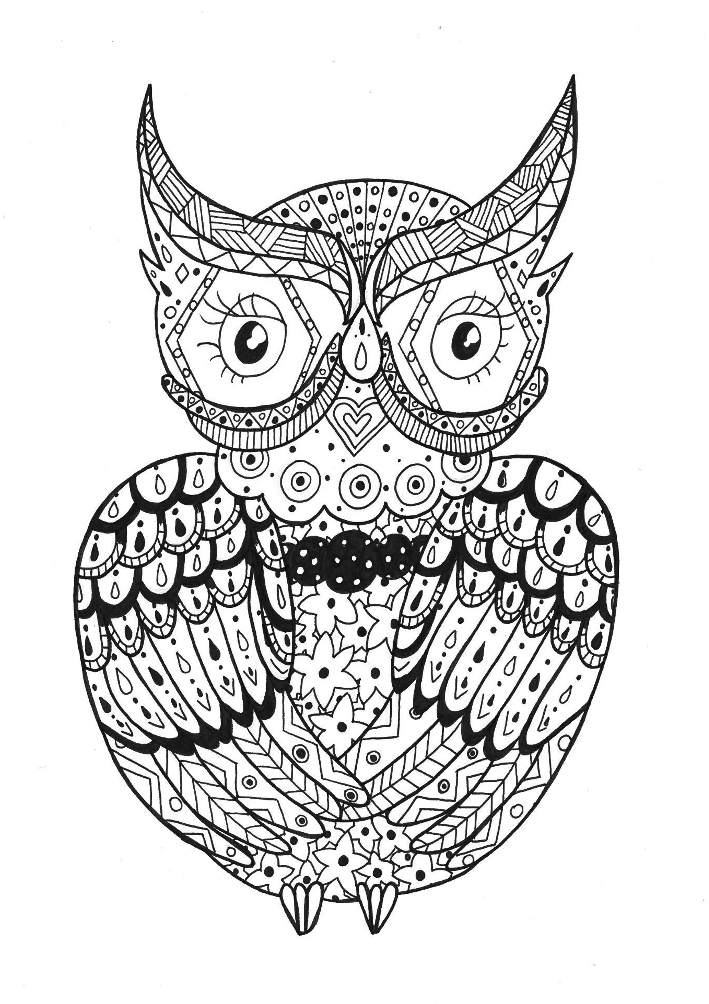 An owl, to have a good time with all this Zentangle forms, Artist : Rachel