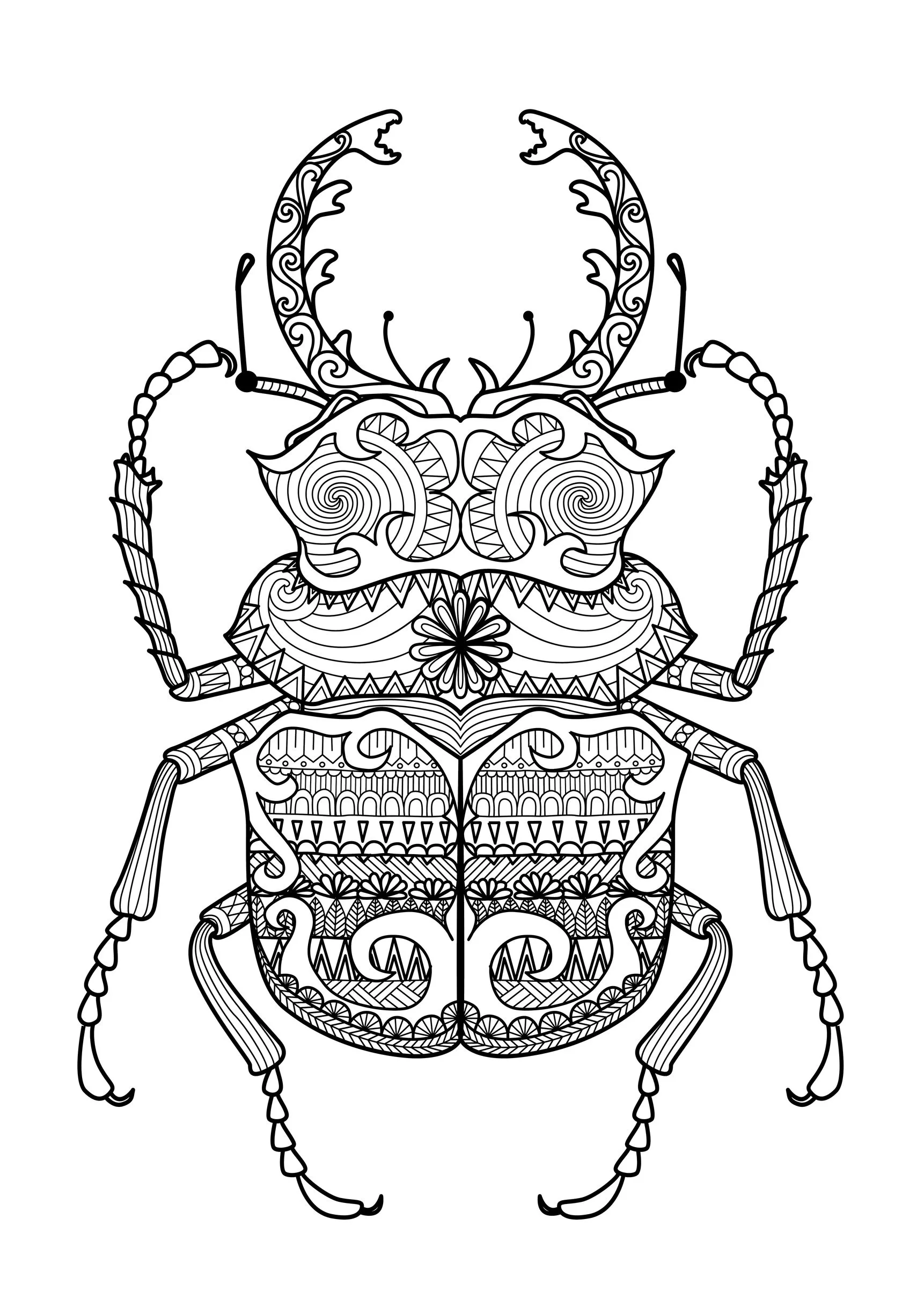 Zentangle beetle by bimdeedee (Printable Coloring Page for adults)